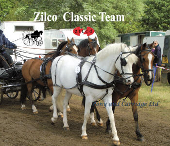 Zilco Tedex Synthetic Horse Harness – Carriage Driving Harness (Black, All Sizes Available)